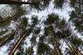 Турбазы - Екатеринбург