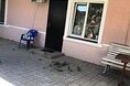 Гостиницы - Геленджик