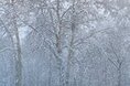 Гостиницы - Камчатский Край