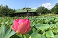 Турбазы - Астрахань