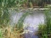 Турбазы - Воронеж