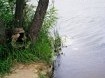 Турбазы - Воронеж