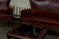 Гостиницы - Киров