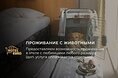 Гостиницы - Киров
