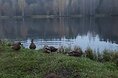 Турбазы - Киров