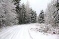 Турбазы - Коми