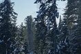 Турбазы - Кемерово
