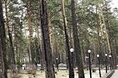 Гостиницы - Кемерово