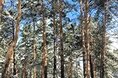Гостиницы - Кемерово