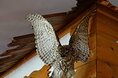 Турбазы - Красноярск