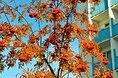 Турбазы - Красноярск