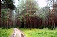 Турбазы - Вологда