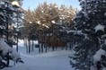 Турбазы - Вологда