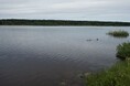 Турбазы - Ярославль