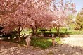 Гостиницы - Ростов-На-Дону