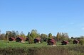 Турбазы - Кострома