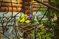 Гостиницы - Иркутск