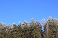 Гостиницы - Смоленск