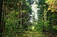 Турбазы - Пермь