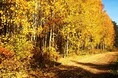 Турбазы - Пермь