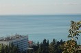 Гостиницы - Лазаревское