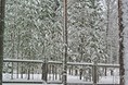Турбазы - Марий Эл