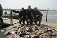 Турбазы - Астрахань