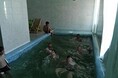 Турбазы - Астрахань