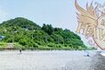 Гостиницы - Лазаревское