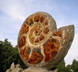 Памятник Волжский янтарь (памятник симбирциту)