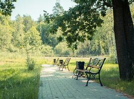 Золотой ключик