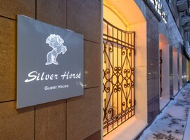 Silver Horse