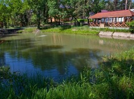 Лесовичок