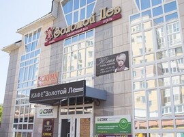 Золотой лев