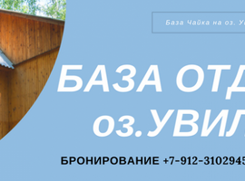 Чайка