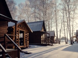 Чеширы