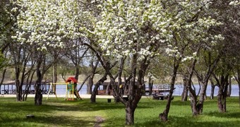 Солнечный остров