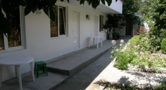 Белая лебедь