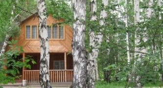 Голубые ели