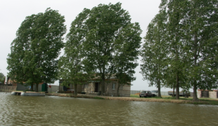 Бакланенок