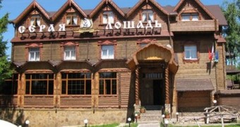 "Серая лошадь"
