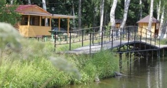 "Дикий карп"