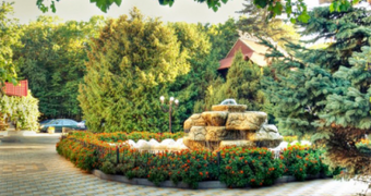 "Лесная поляна"