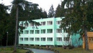 Хвойная