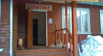 Скнятино