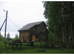 Лебедь