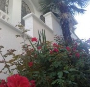 "Русская Ривьера"