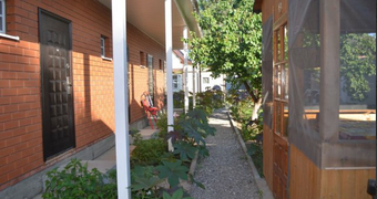 Астраханская чайка