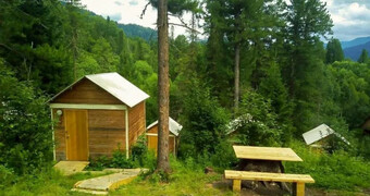 "Кедровый берег"