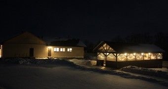 Большая медведица